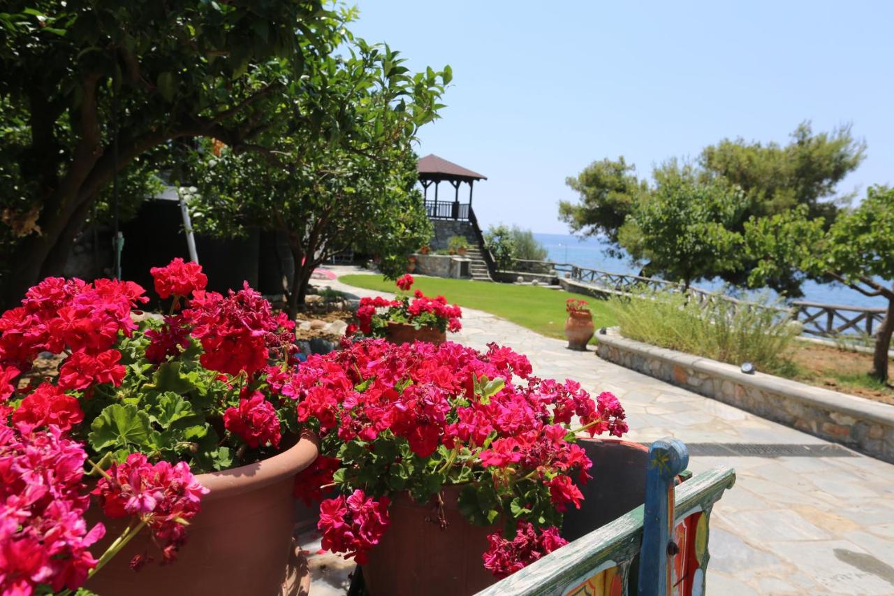 terasa cu vedere la mare halkidiki seaside 2