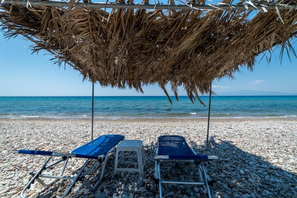 cazare-thassos-1