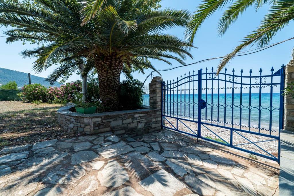 cazare-thassos-1