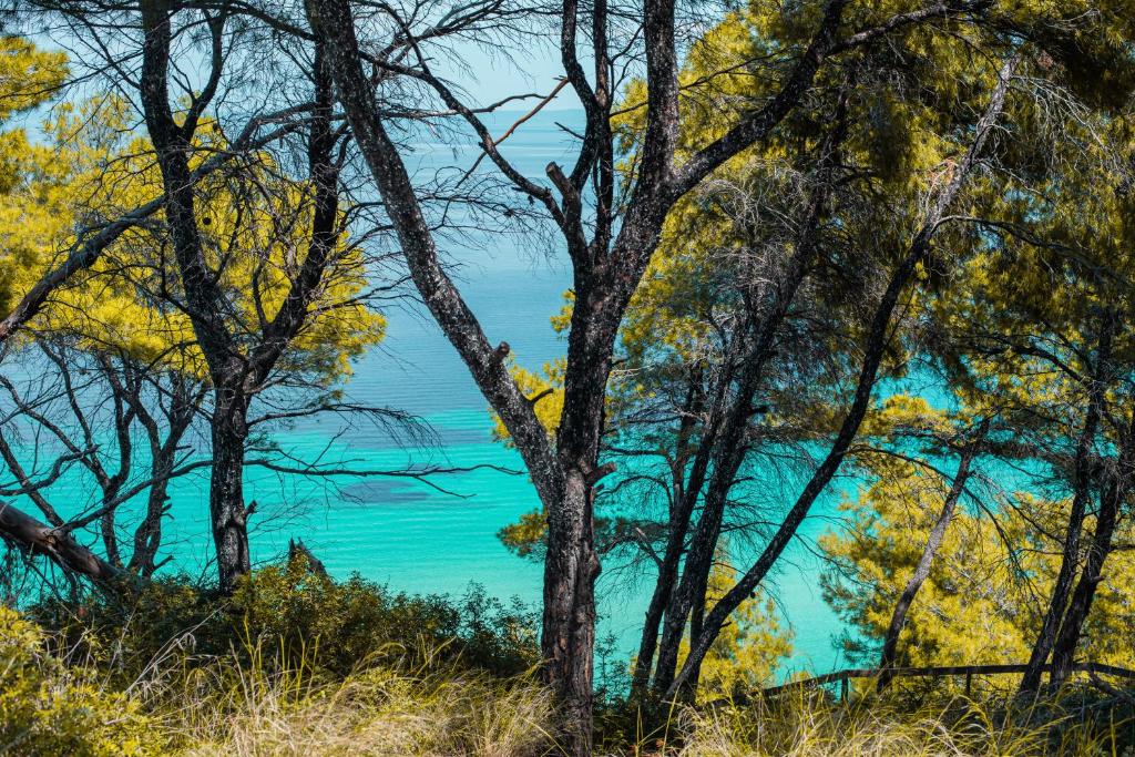cazare-halkidiki-1